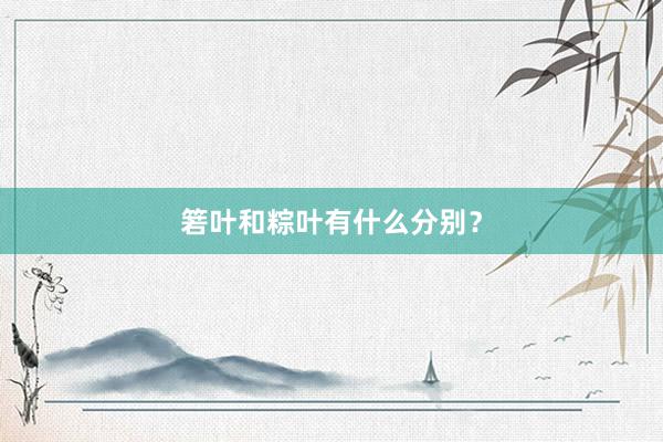 箬叶和粽叶有什么分别？