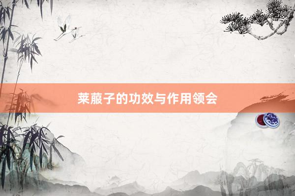 莱菔子的功效与作用领会