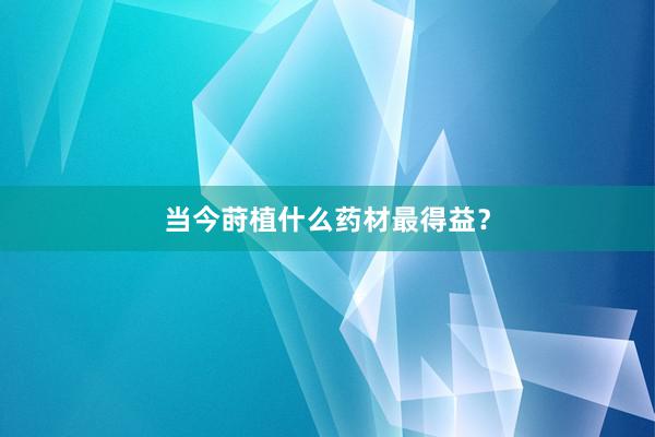 当今莳植什么药材最得益？