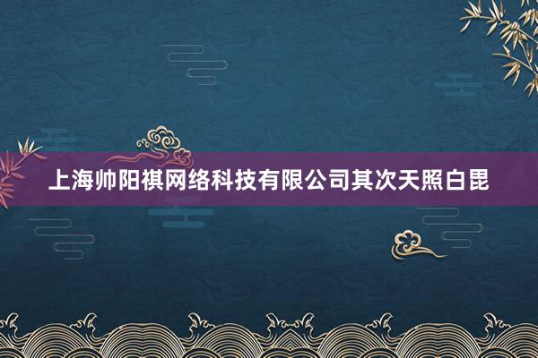 上海帅阳祺网络科技有限公司其次天照白毘