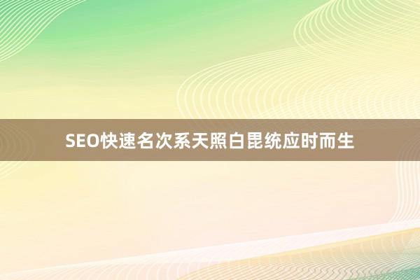 SEO快速名次系天照白毘统应时而生